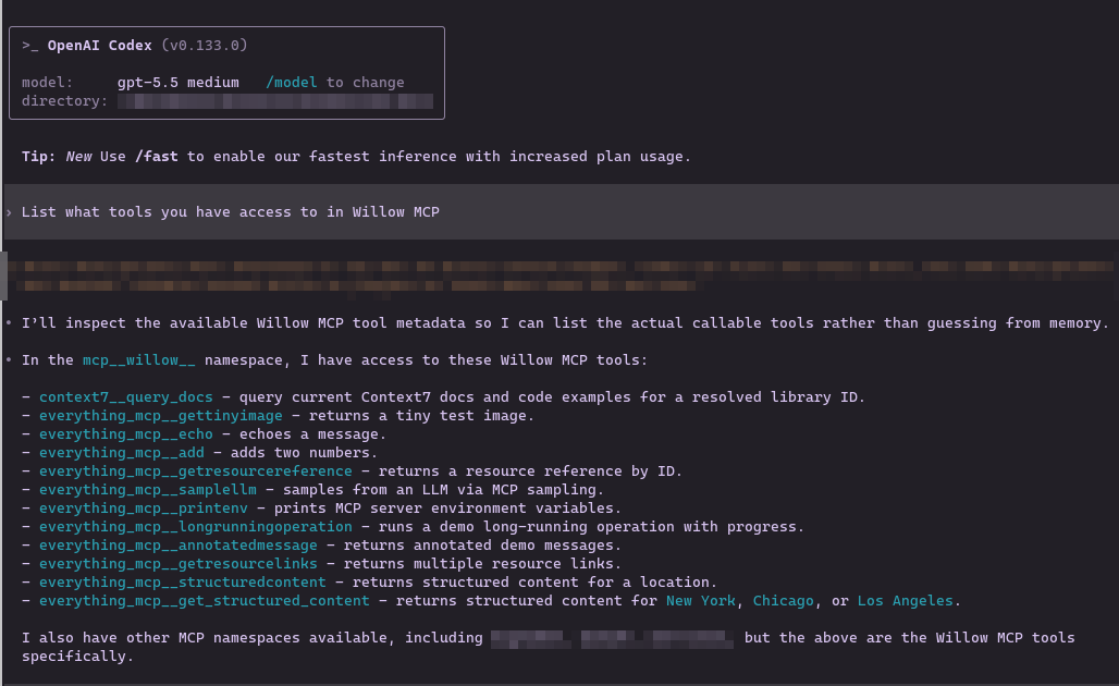 Codex TUI showing Willow MCP tools listed under the mcp__willow__ namespace
