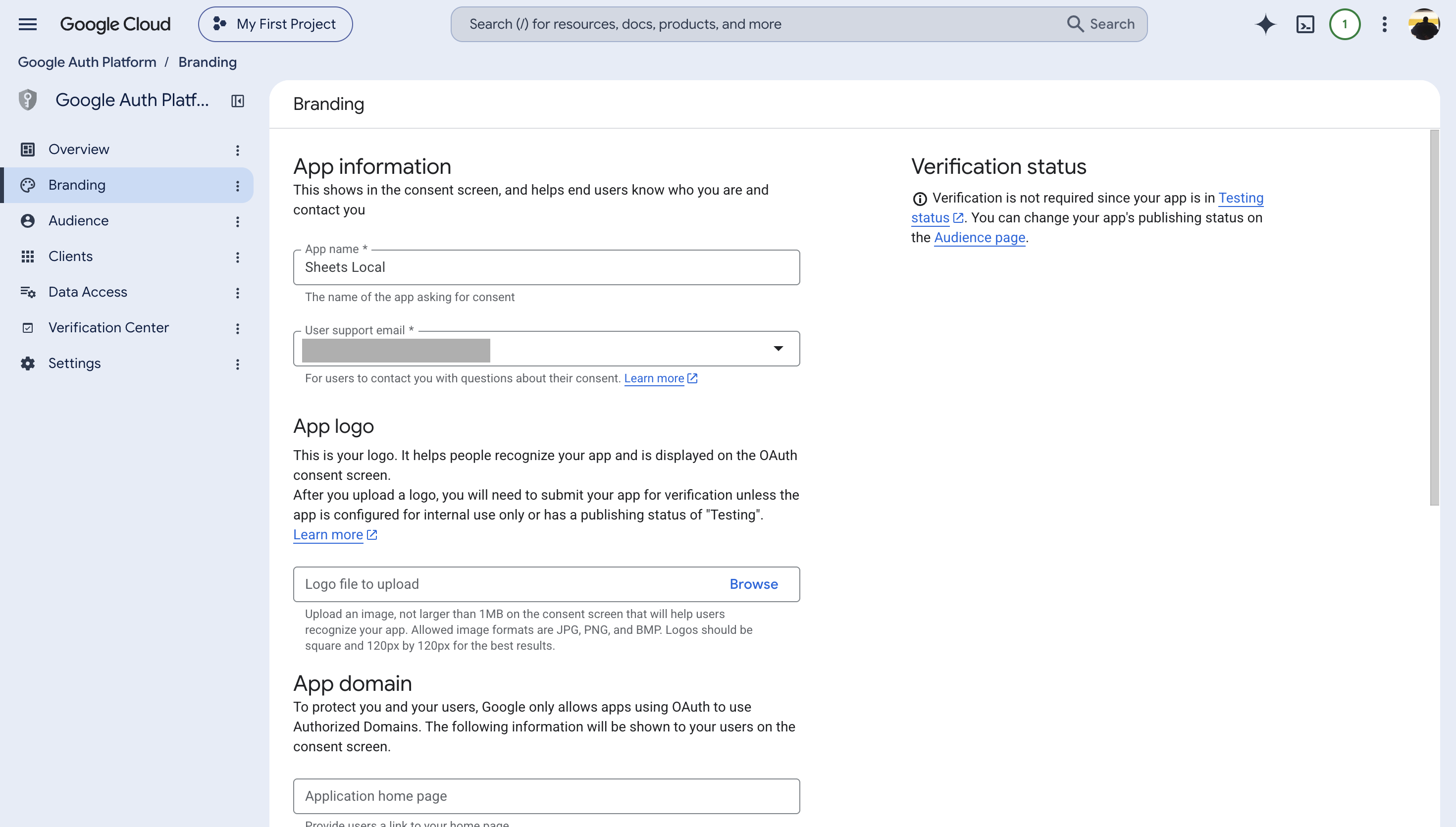 Google Auth Platform Branding page with the example app name Sheets Local